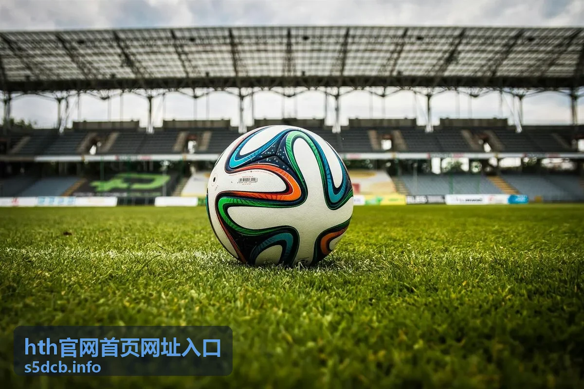 hth官网首页网址入口核对流程示意配图