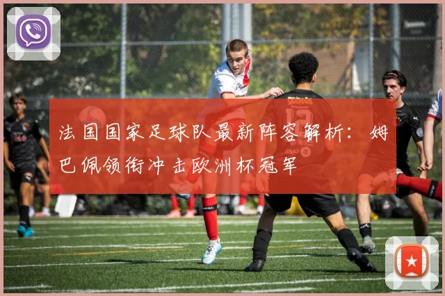 法国国家足球队最新阵容解析：姆巴佩领衔冲击欧洲杯冠军