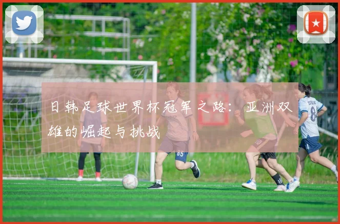 日韩足球世界杯冠军之路:亚洲双雄的崛起与挑战