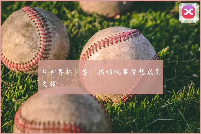 年世界杯门票：我的观赛梦想成真之旅