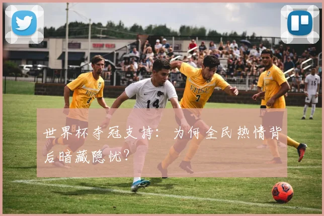 世界杯夺冠支持:为何全民热情背后暗藏隐忧?