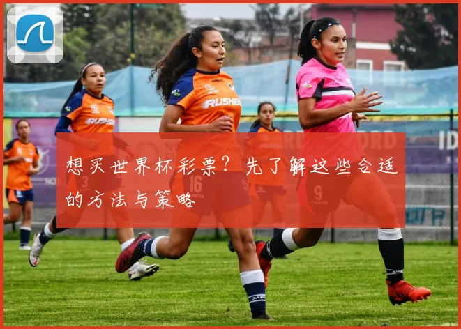想买世界杯彩票?先了解这些合适的方法与策略