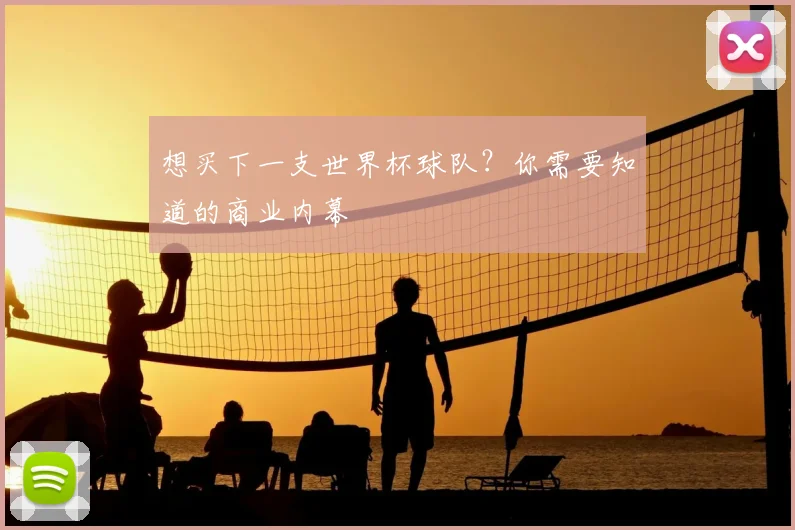 想买下一支世界杯球队?你需要知道的商业内幕
