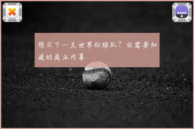 想买下一支世界杯球队?你需要知道的商业内幕