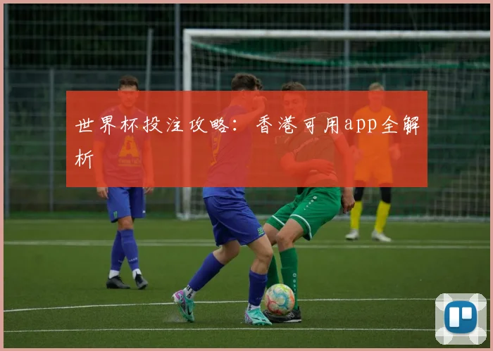 世界杯投注攻略：香港可用app全解析