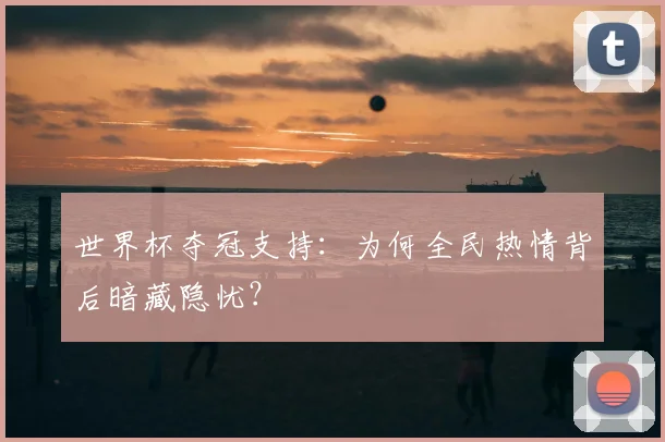 世界杯夺冠支持:为何全民热情背后暗藏隐忧?