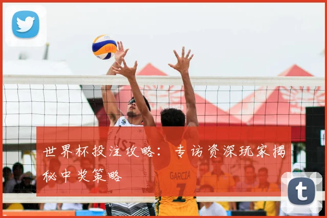 世界杯投注攻略：专访资深玩家揭秘中奖策略