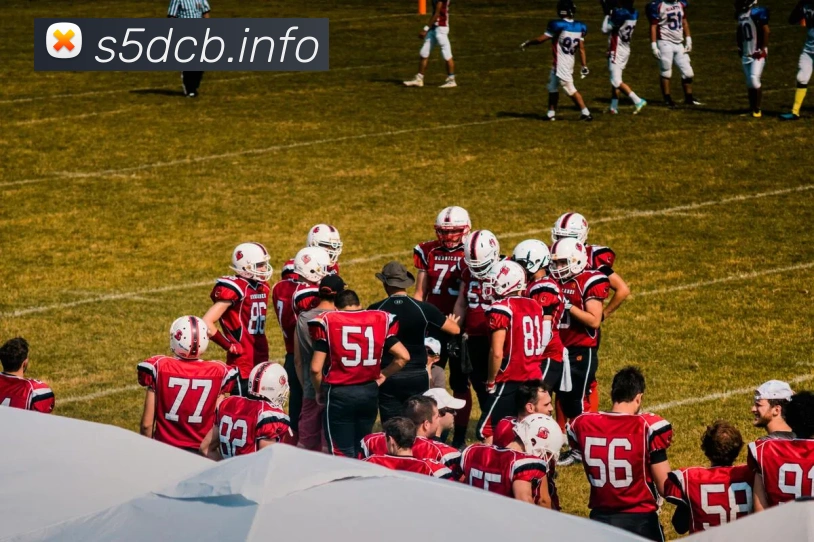 多媒体互动体验